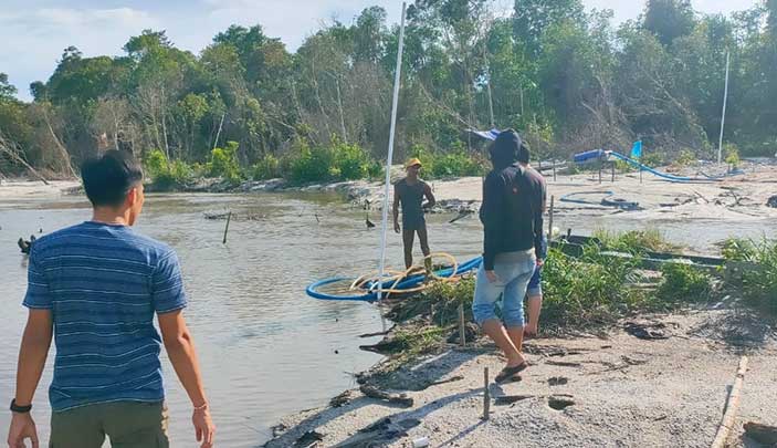 Satreskrim Polres Belitung Berhasil Tangkap Penambang Timah di Kebun Sawit